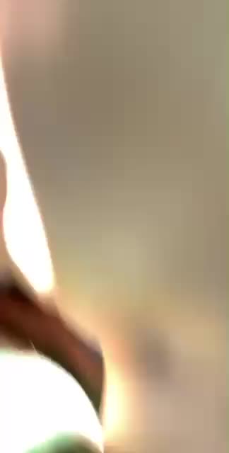 Highschool GF Loves To Fuck- Girlfriend Revenge Porn