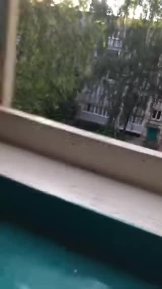 Child Porn #542