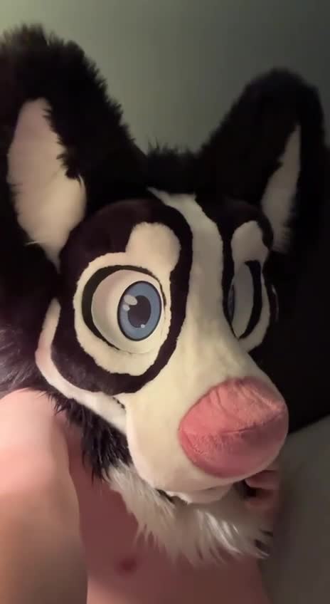 Teen in Fursuit Jerks Off While Watching Child Porn
