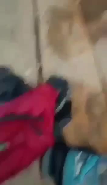 Child Porn #201