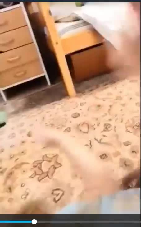 Brother and Sister playing private home video