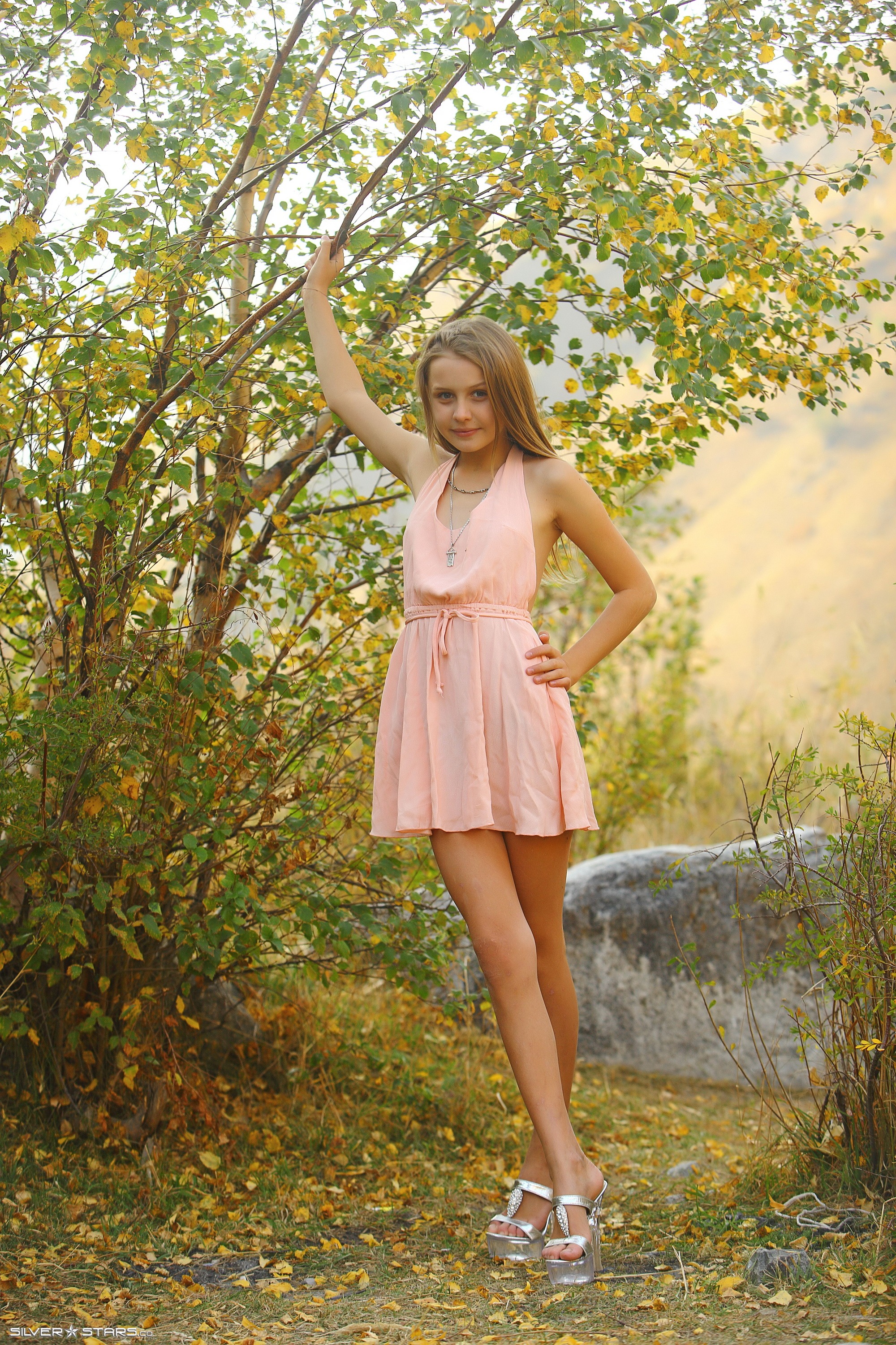 3790pix82195bbes4