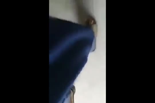 kids mix fuck and masterbate vid 