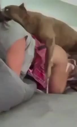 horney preteen girl fucked by dog zoo porn pussy anal sex