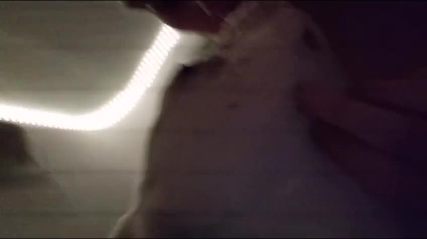 NEW recovered darkclip of steph yo tight schoolgirl getting fucked boneprone