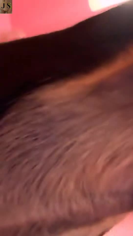 Zoo 10yo American cutie show and let dog eat her pussy in front of her lil sister