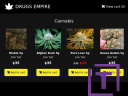 drugsednqhasbyoyg2oekzbnllbujro54zrogqbf3p6e7qflxti5eeqd banner