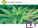 cc365rfnwxcmeizmlxo2unibbodwqykjrxvaawjj6ofs5clondovalid banner